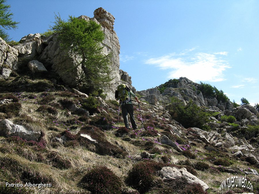 13-Nei pressi della Cima Vanerle.JPG